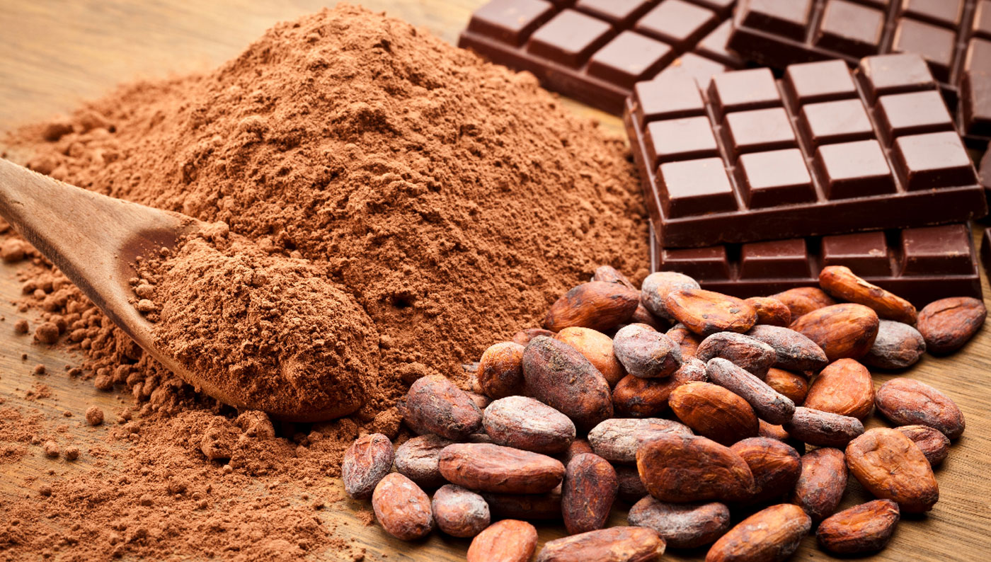 Historia del Cacao